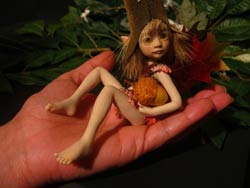 Ooak Baby Fairie Pixie Misha and the Acorn